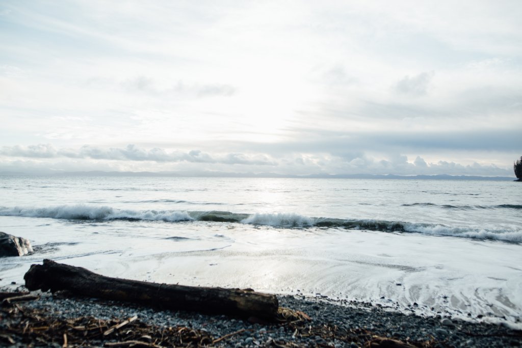 Vancouver Island Adventures With Photographer Saidia Z.Ariss - 