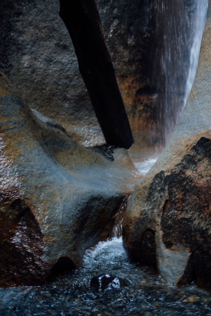 Vancouver Island Adventures With Photographer Saidia Z.Ariss - 