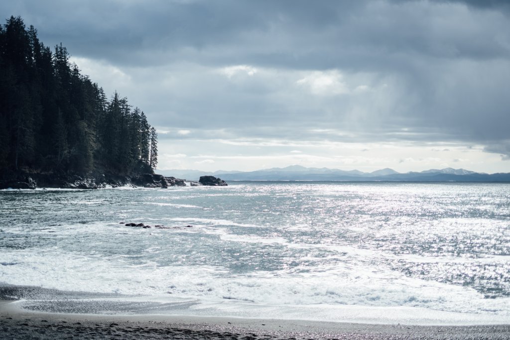 Vancouver Island Adventures With Photographer Saidia Z.Ariss - 