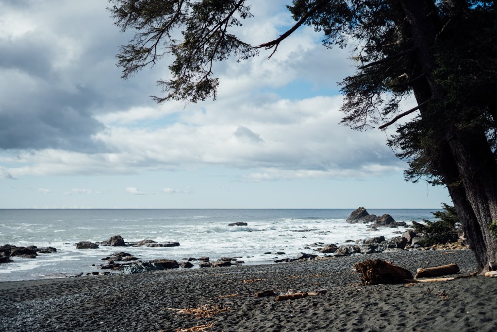 Vancouver Island Adventures With Photographer Saidia Z.Ariss - 