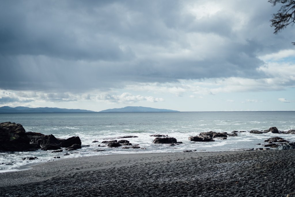 Vancouver Island Adventures With Photographer Saidia Z.Ariss - 