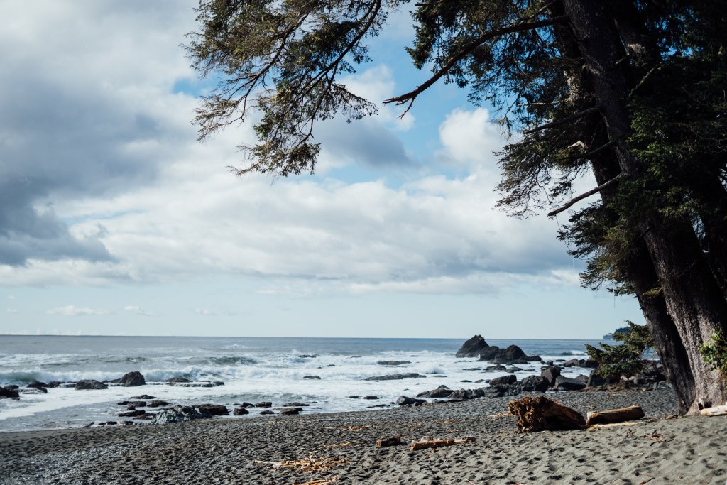Vancouver Island Adventures With Photographer Saidia Z.Ariss - 