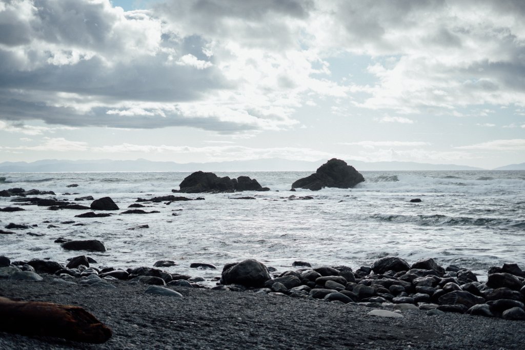 Vancouver Island Adventures With Photographer Saidia Z.Ariss - 