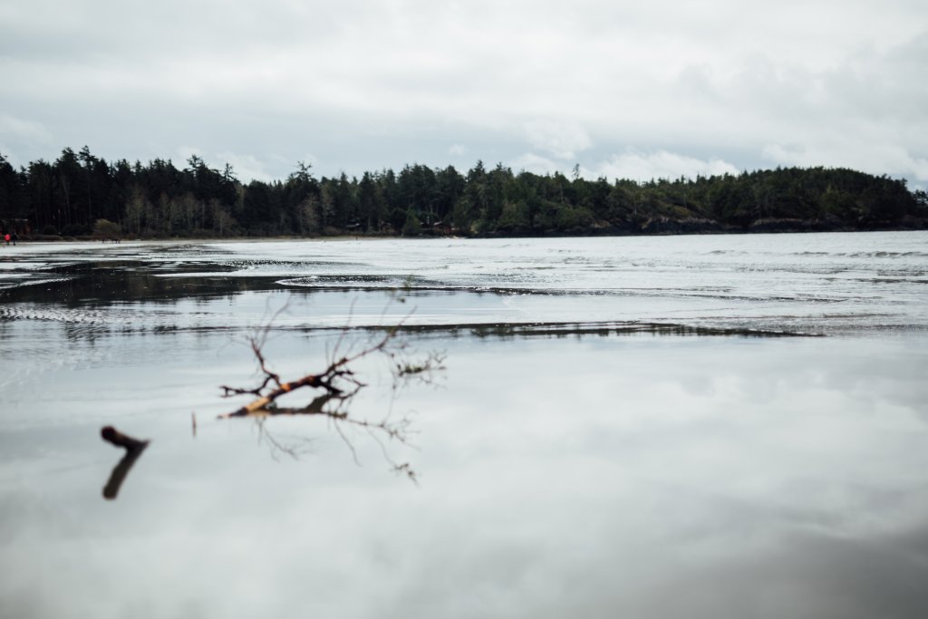 Vancouver Island Adventures With Photographer Saidia Z.Ariss (Sooke, BC) - 