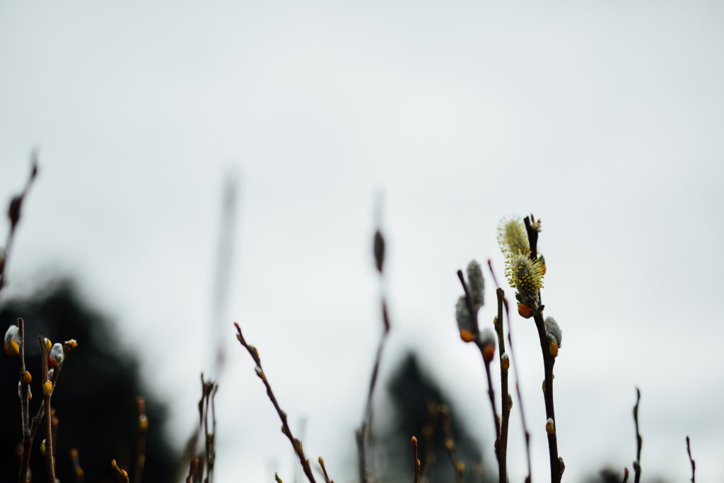 Vancouver Island Adventures With Photographer Saidia Z.Ariss (Sooke, BC) - 