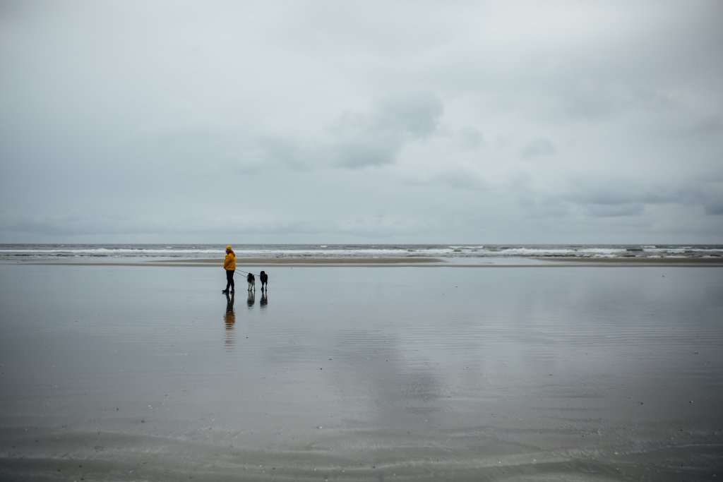 Vancouver Island Adventures With Photographer Saidia Z.Ariss (Sooke, BC) - 