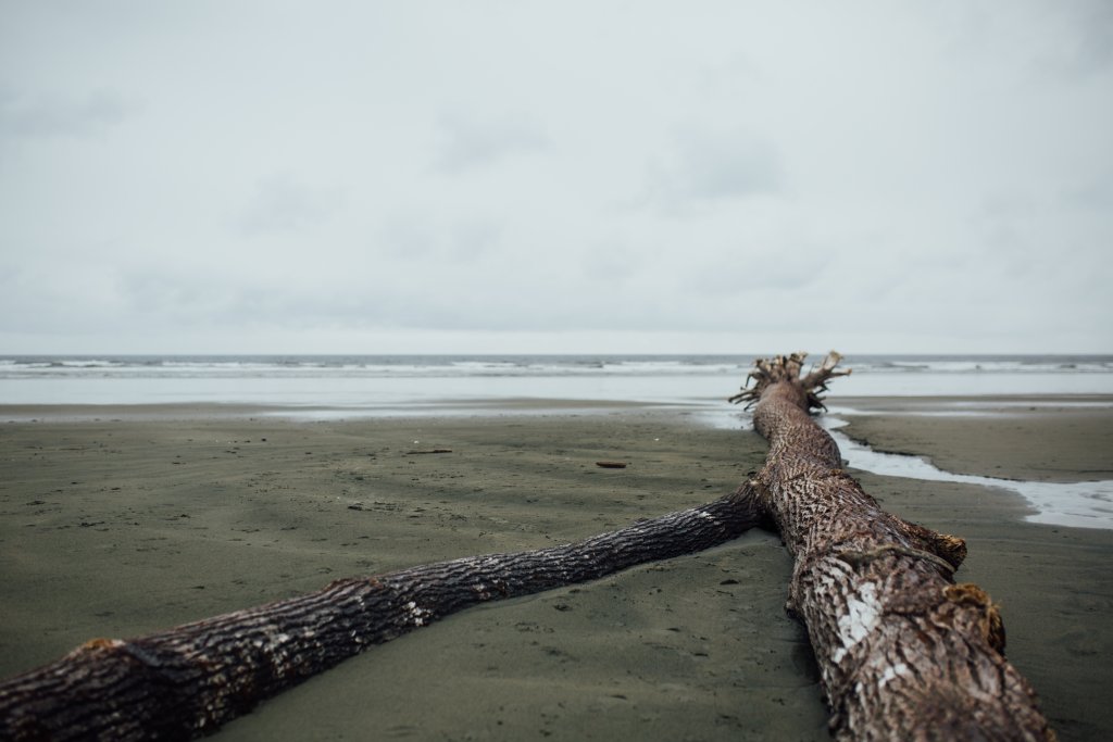 Vancouver Island Adventures With Photographer Saidia Z.Ariss (Sooke, BC) - 