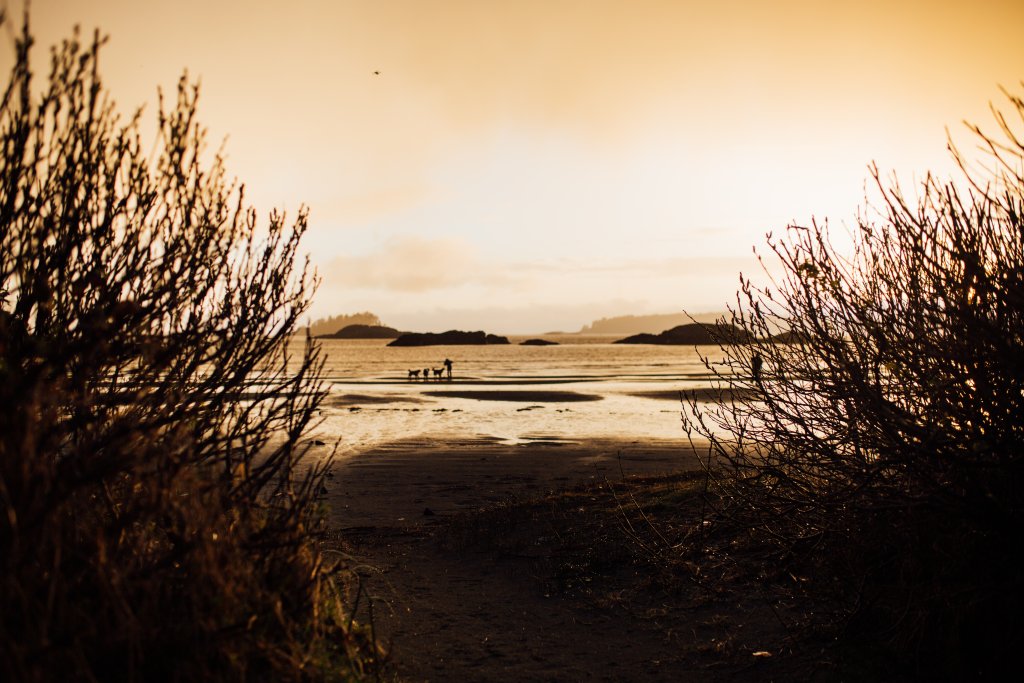 Vancouver Island Adventures With Photographer Saidia Z.Ariss (Sooke, BC) - 