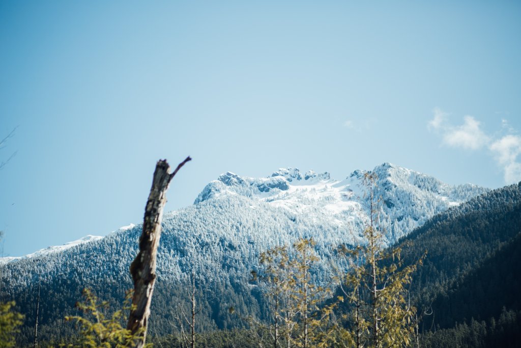 Vancouver Island Adventures With Photographer Saidia Z.Ariss (Sooke, BC) - 