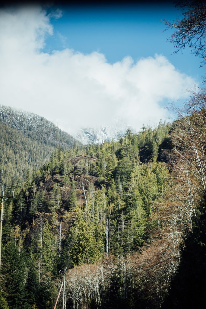 Vancouver Island Adventures With Photographer Saidia Z.Ariss (Sooke, BC) - 