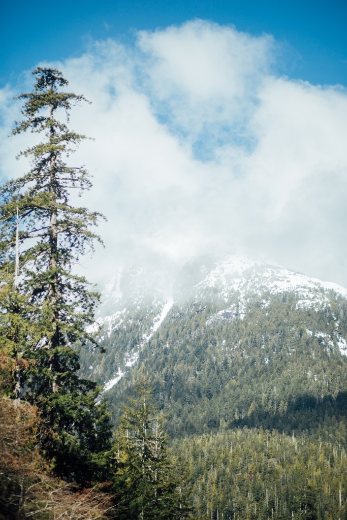 Vancouver Island Adventures With Photographer Saidia Z.Ariss (Sooke, BC) - 