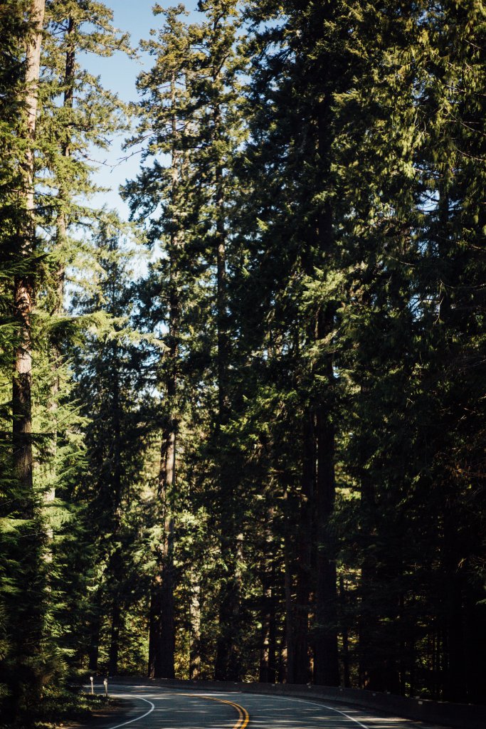 Vancouver Island Adventures With Photographer Saidia Z.Ariss (Sooke, BC) - 