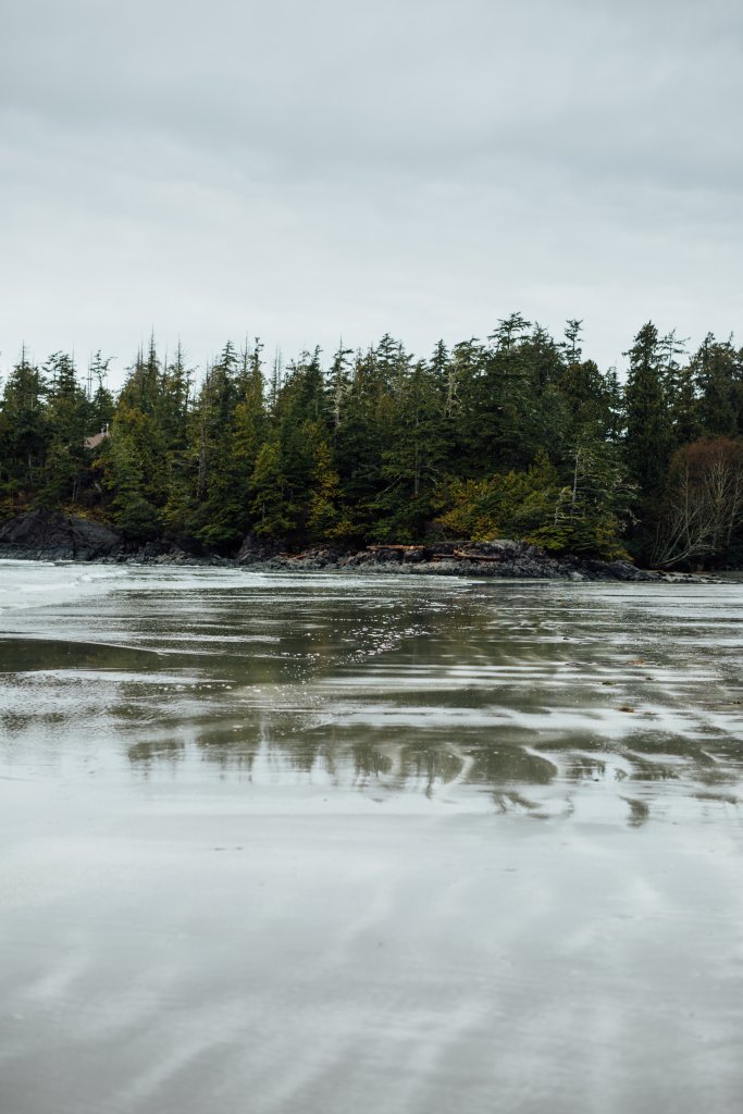 Vancouver Island Adventures With Photographer Saidia Z.Ariss (Sooke, BC) - 