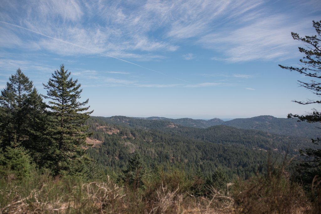 Vancouver Island Adventures With Photographer Saidia Z.Ariss - 