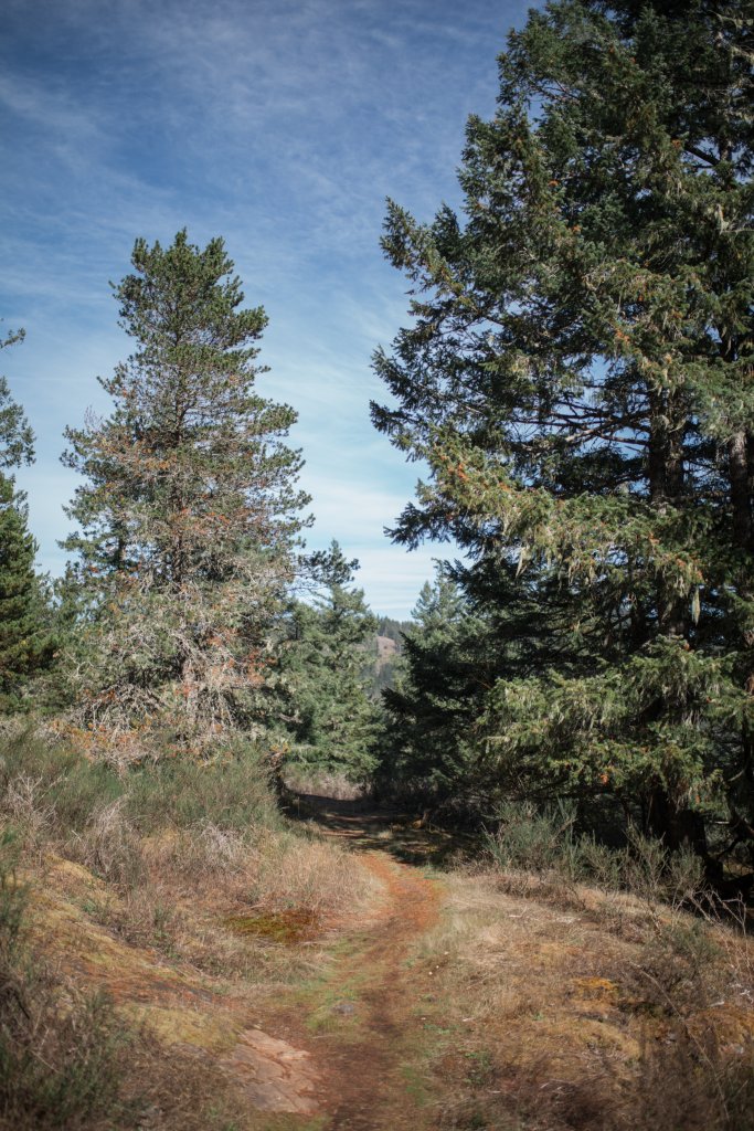 Vancouver Island Adventures With Photographer Saidia Z.Ariss - 