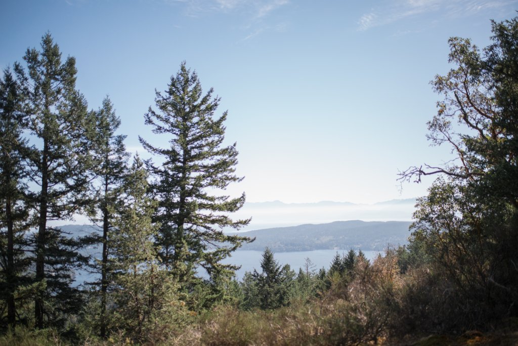 Vancouver Island Adventures With Photographer Saidia Z.Ariss - 