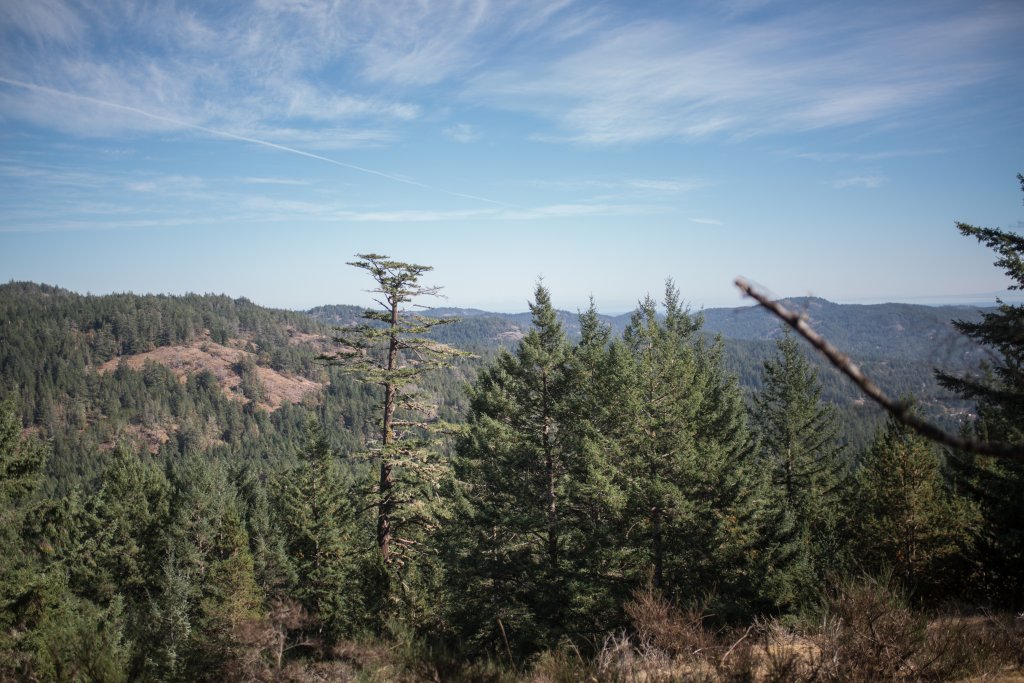 Vancouver Island Adventures With Photographer Saidia Z.Ariss - 