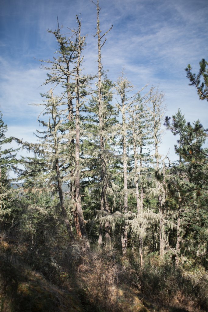 Vancouver Island Adventures With Photographer Saidia Z.Ariss - 