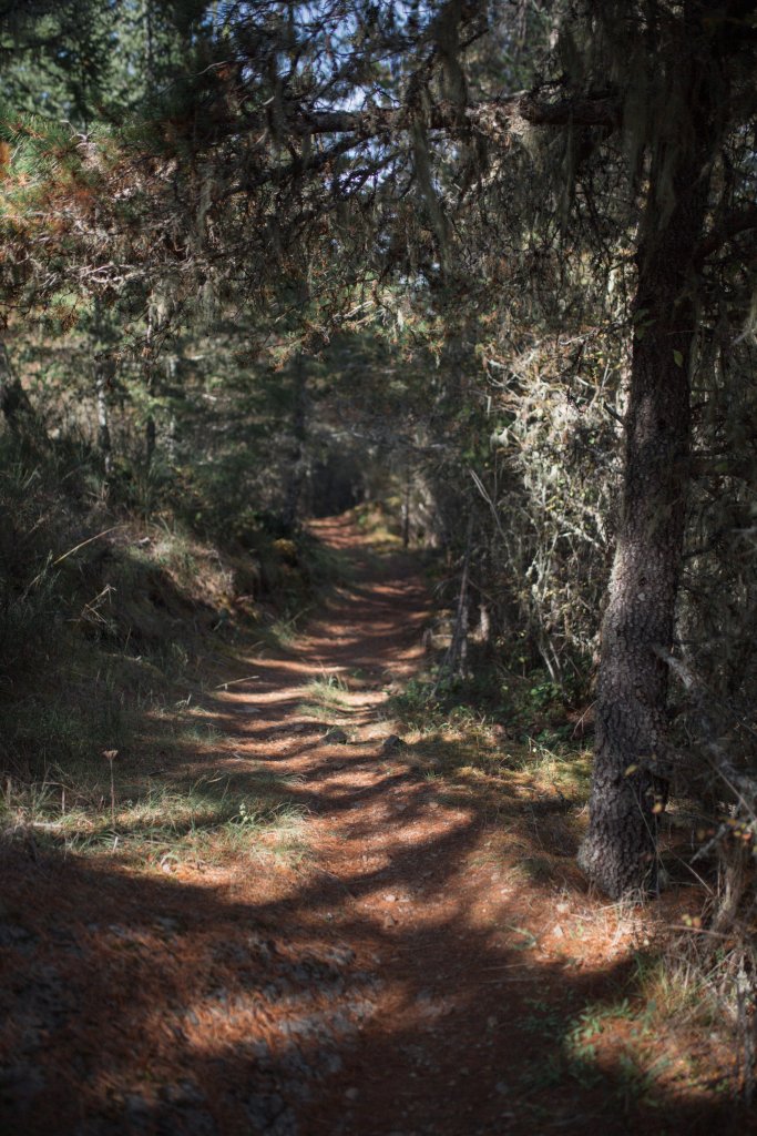Vancouver Island Adventures With Photographer Saidia Z.Ariss - 