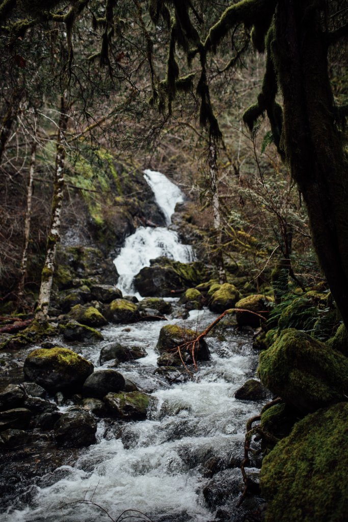 Sooke Pot Holes Mini Session by Saidia (Vancouver Island) - 