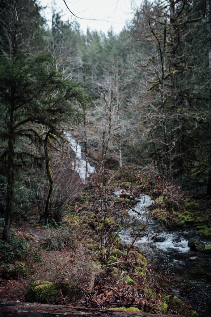 Sooke Pot Holes Mini Session by Saidia (Vancouver Island) - 